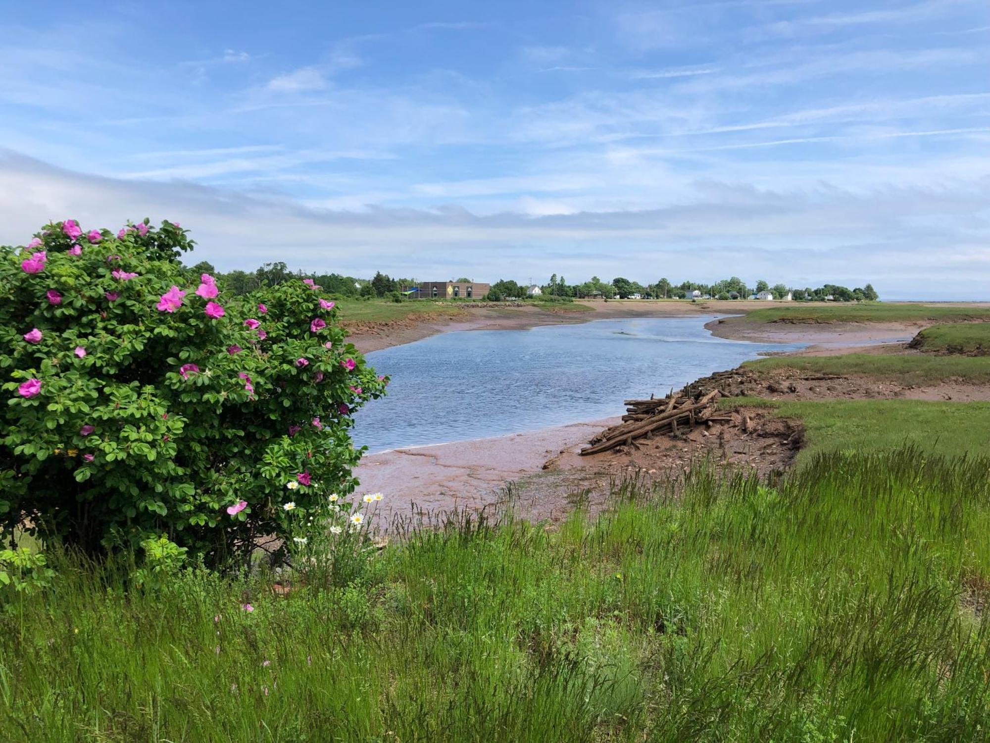 Pleasant Street Inn Parrsboro Екстер'єр фото