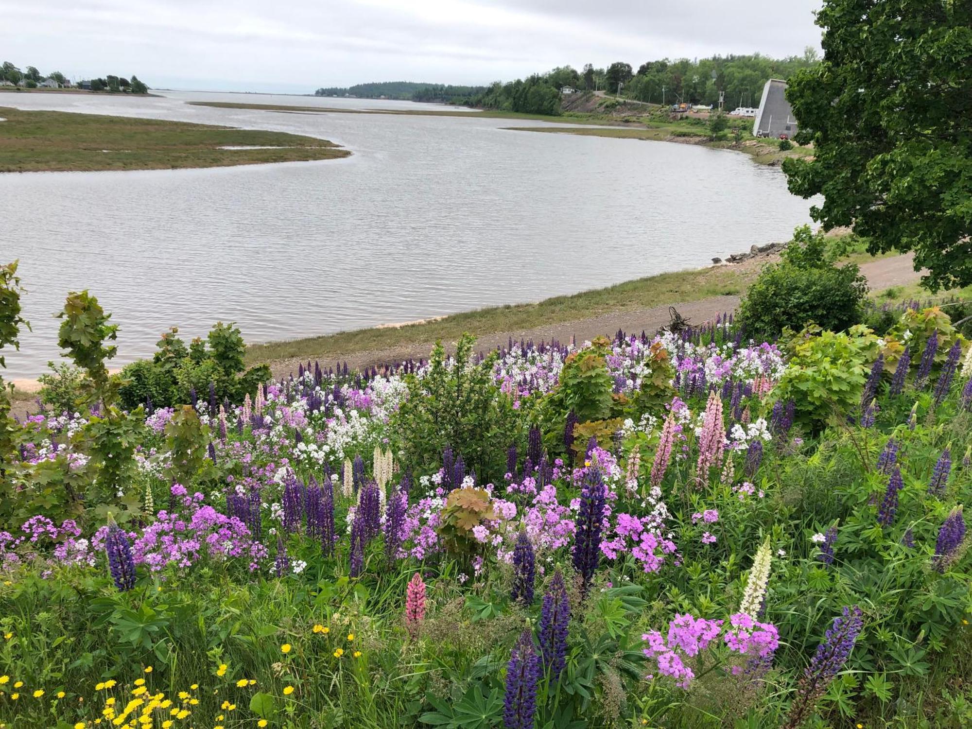 Pleasant Street Inn Parrsboro Екстер'єр фото
